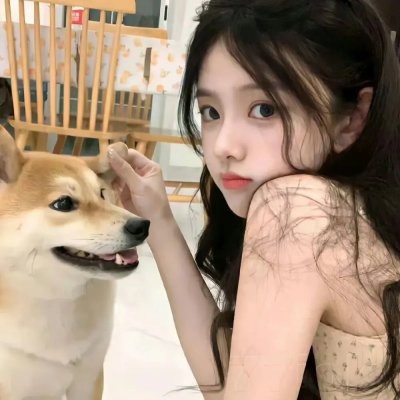 灰姑娘的故事：圣诞愿望