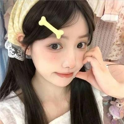 狮子护卫队第一季